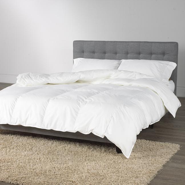 Canadian Lac Brome Down Comforter, Queen