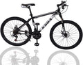 26 Inch Mountain Bike, 21 Speed Stone Bicycle, Adult Road Offroad City Bike, Aluminum Frame, Front and Rear Linear Brakes for Men Women