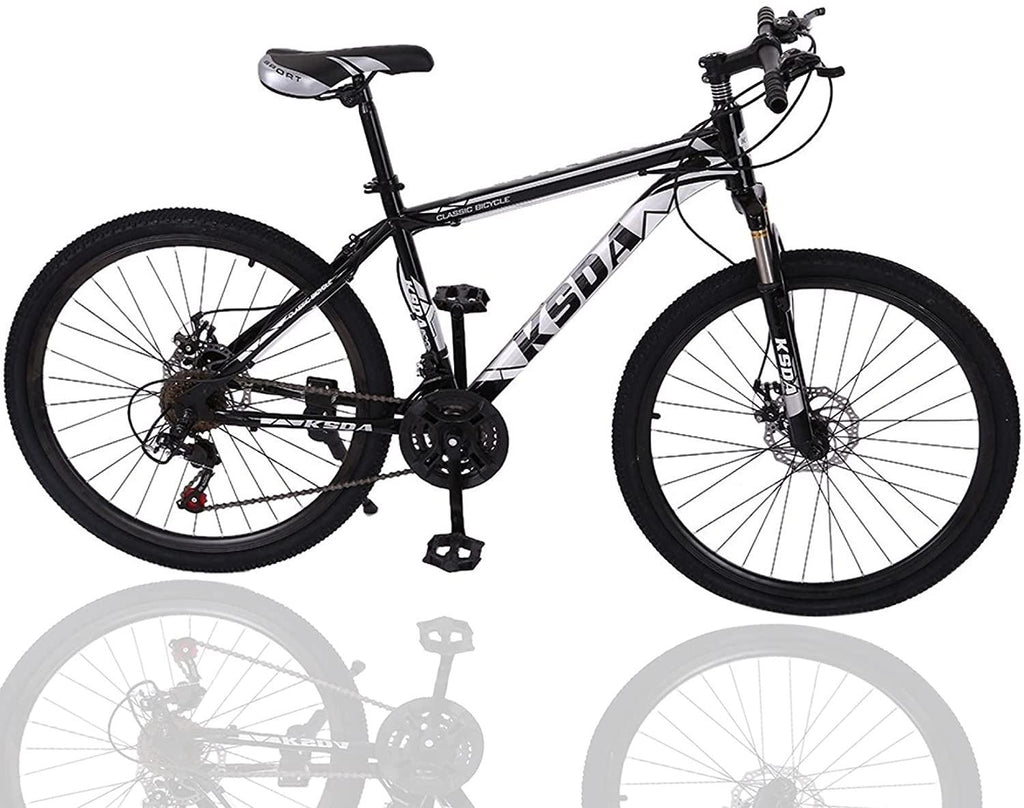 26 Inch Mountain Bike, 21 Speed Stone Bicycle, Adult Road Offroad City Bike, Aluminum Frame, Front and Rear Linear Brakes for Men Women