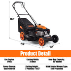 21" Self-Propelled Gas Lawn Mower with 170CC 4-Stroke Engine, 7 Cutting Heights, 3-in-1 Mulch/Bag/Discharge, 1.9-Bushel Grass Bag, EPA Compliant