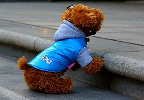 FidgetKute Back ON Track Mesh Dog Blanket Coat Hat XS 9-10"