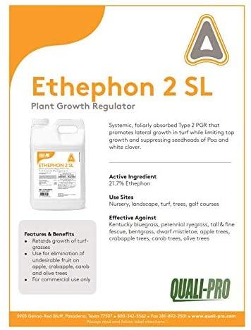 quali-pro ethephon 2sl plant growth regulator - promotes lateral growth in turf, slows growth in turf grass, use for elimination of undesirable fruit on apple trees (2.5 gallons)