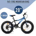 Viribus All Terrain Kids Mountain Bike w 20in. Fat Tires 7 Speeds Dual Disc Brakes, Blue