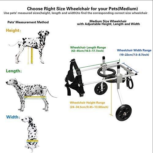 CHZHUTUI Pet-Disabled Dog Wheelchair Adjustable Light Aluminum 2-Wheel Scooter for Small and Medium-Sized Dogs Hind Limb Assisted Rehabilitation Exercise Cart