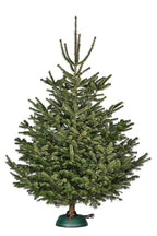 Krinner (#94750-EA) Christmas Tree Stand, Tree Genie XXL Deluxe