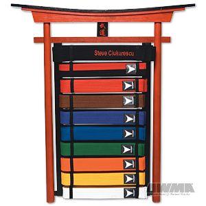 Deluxe Karate Belt Display 10 Level