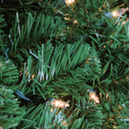 Northlight 60" Prelit Olympia Pine Artificial Christmas Wreath - Clear Lights