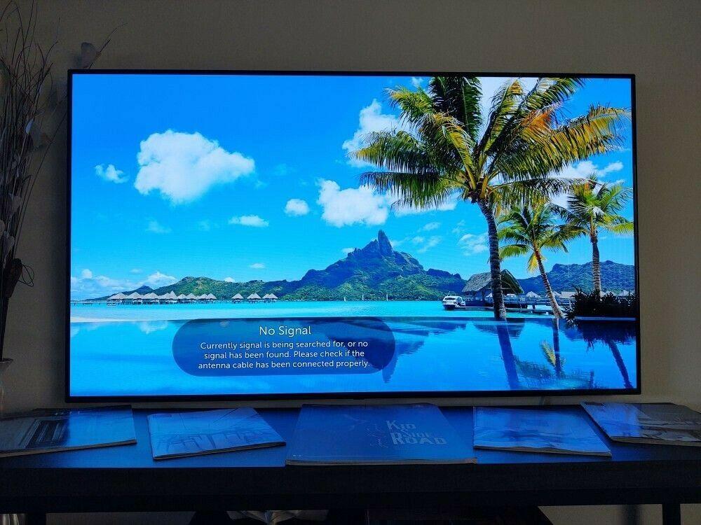 lg 55" oled 4k hdr smart tv