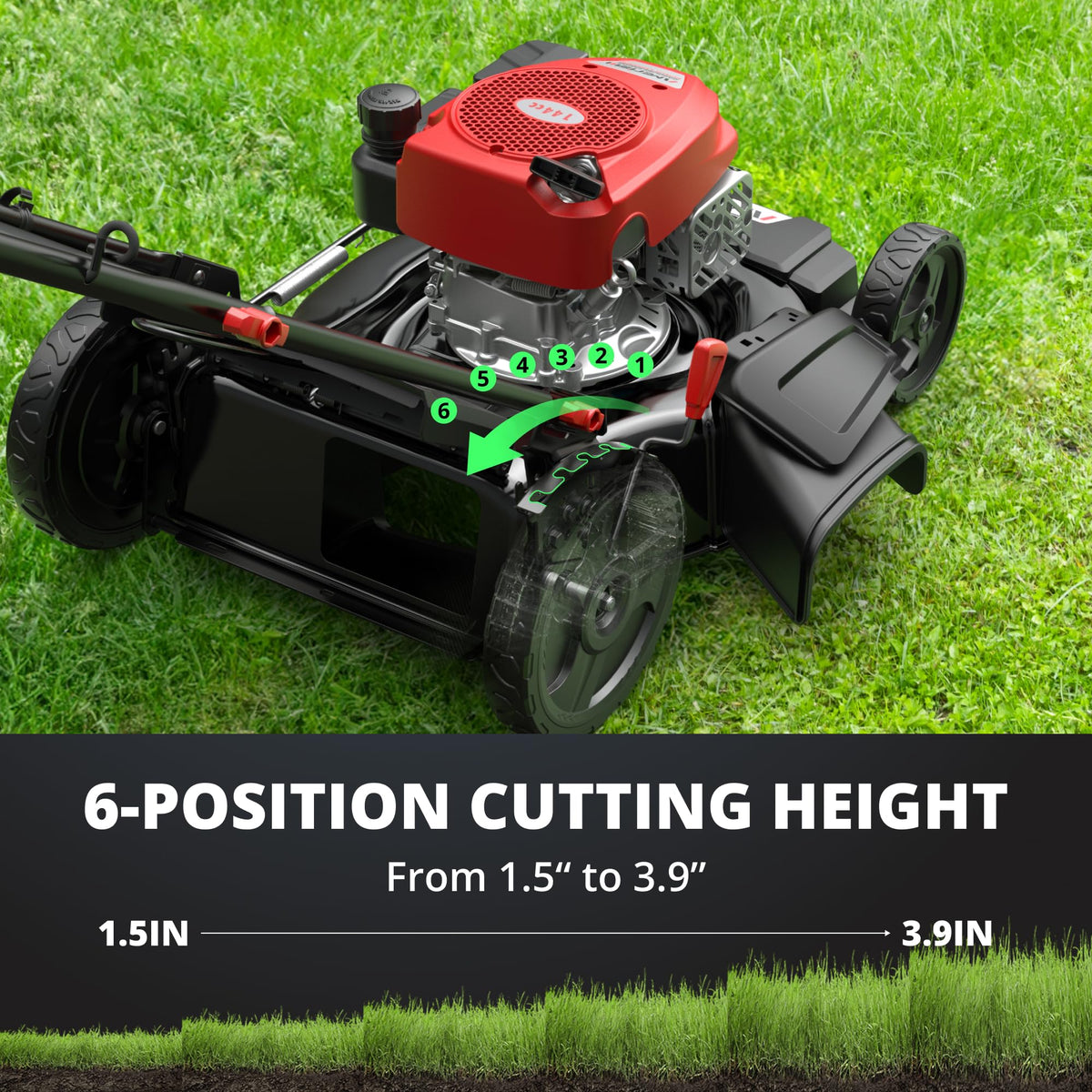21-Inch 2-in-1 Gas Push Lawn Mower, 144cc OHV Walk-Behind Mower for Yard, Mulching Side Discharge, 1.5–3.9 in Adjustable Cutting Height, 10-in Rear Wheels