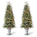 5 ft. Pre-Lit Pine Artificial Christmas Porch Tree with 180 Warm White Lights and Pine Cones (2-Pack)