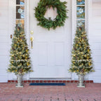 5 ft. Pre-Lit Pine Artificial Christmas Porch Tree with 180 Warm White Lights and Pine Cones (2-Pack)