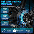 Electric Bike for Adults - 750W Motor 4 Hours Fast Char31 Mile RanFolding Electric Bike Riding in City Snow Beach E Bike Cruise Control