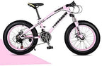 CHICAI Mountain Bike High Carbon Steel Cross Country Bike 20-inch Mountain Bike 21/24/27/30 Speed Bike Full Suspension Bike Equipped with Double Disc Brake (Size : 21-Speed)