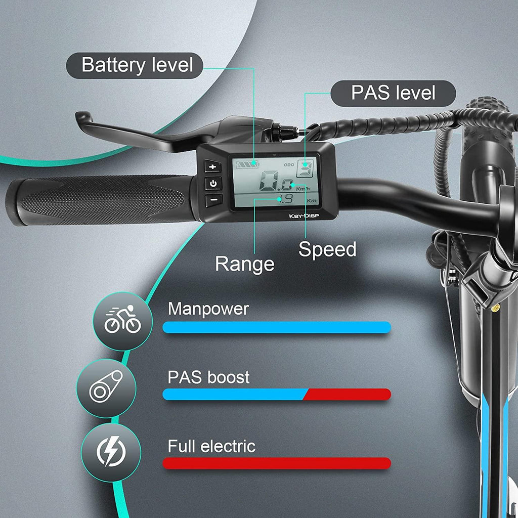 ANCHEER 20" 4.0 Fat Tire Electric Dirt Bikes, 20 inch 48V 500 Watt Adults Electric Bicycles Folding Ebike 12.5Ah 600Wh Battery LCD Display, Electric Beach Cuiser Snow Bike