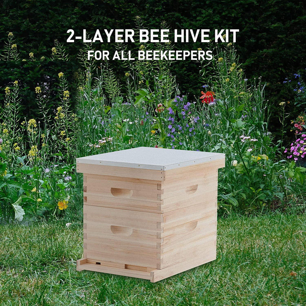 creworks bee hive, beehive bee box with 10 medium &amp;10 deep honeycomb foundation frames, bee keeping supplies starter kit for beginners, 2 layer langstroth beehive honey bee house bee hives