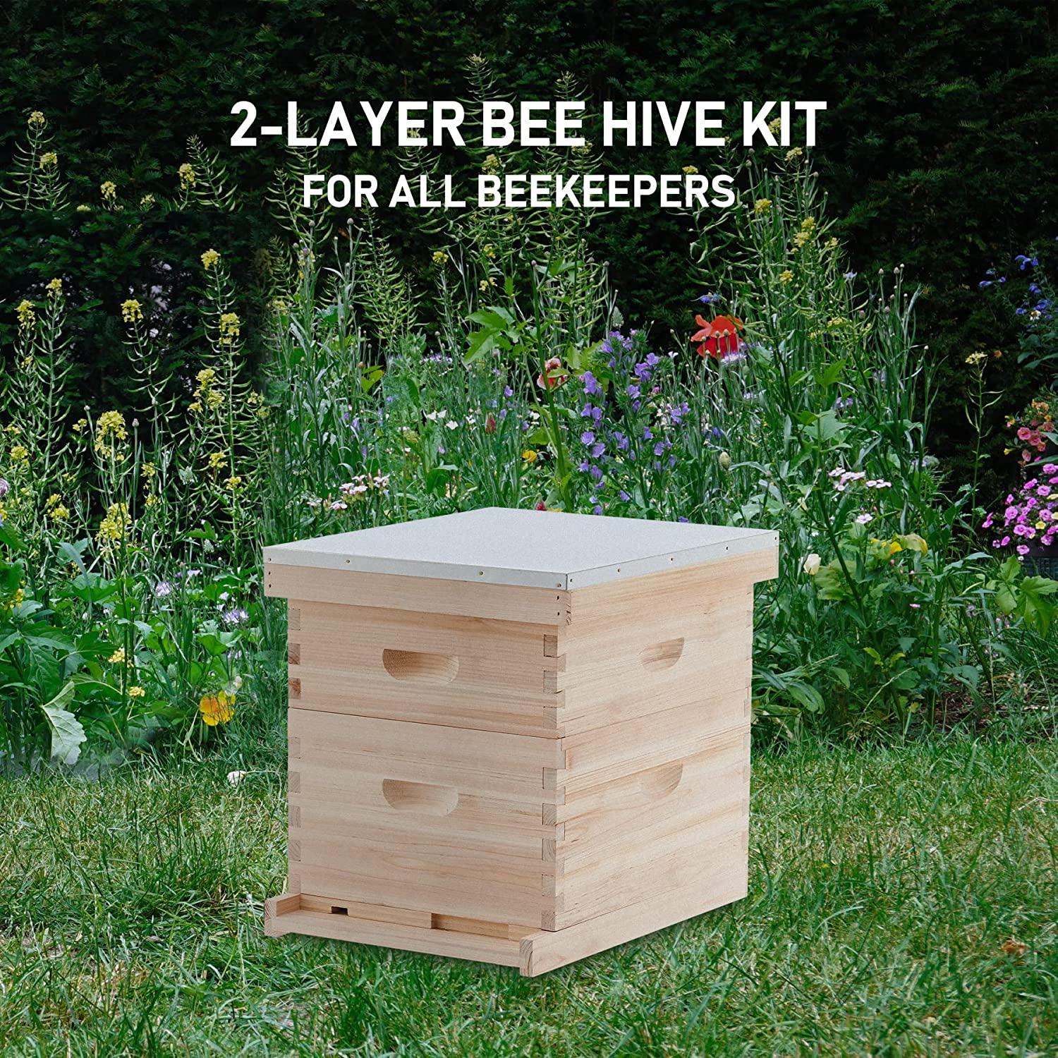 creworks bee hive, beehive bee box with 10 medium &amp;10 deep honeycomb foundation frames, bee keeping supplies starter kit for beginners, 2 layer langstroth beehive honey bee house bee hives