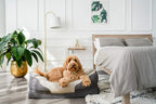 BarksBar Gray Orthopedic Dog Bed - Snly Sper - with Solid Orthopedic Foam, Extra Comfy Cotton-Padded Rim Cushion and Nonslip Bottom