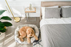BarksBar Gray Orthopedic Dog Bed - Snly Sper - with Solid Orthopedic Foam, Extra Comfy Cotton-Padded Rim Cushion and Nonslip Bottom