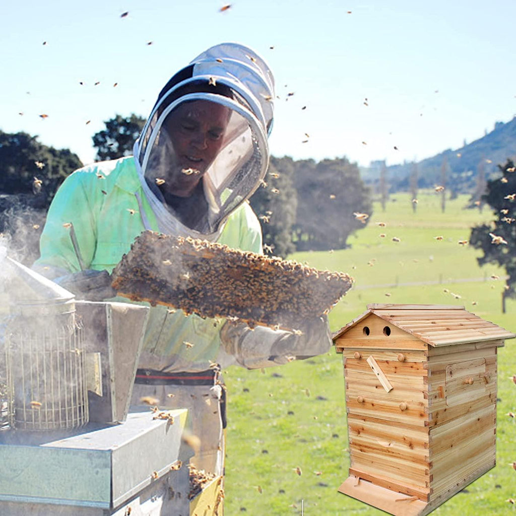 flow hive beehive kit,wooden beekeeping house beehive boxes with 7 pcs auto bee hive frame for beginning professional beekeepers