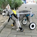 Costrov Pet Hind Limb Wheelchair, Adjustable 4-Wheel Dog Wheel, Disabled Dog Assisted Walk Car, Orthopedic Pet Mobility Assisted Treatment of Dog Arthritis and Hip Dysplasia