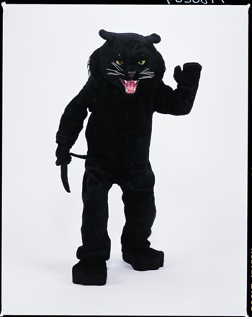 PANTHER BLACK MASCOT COMPLETE