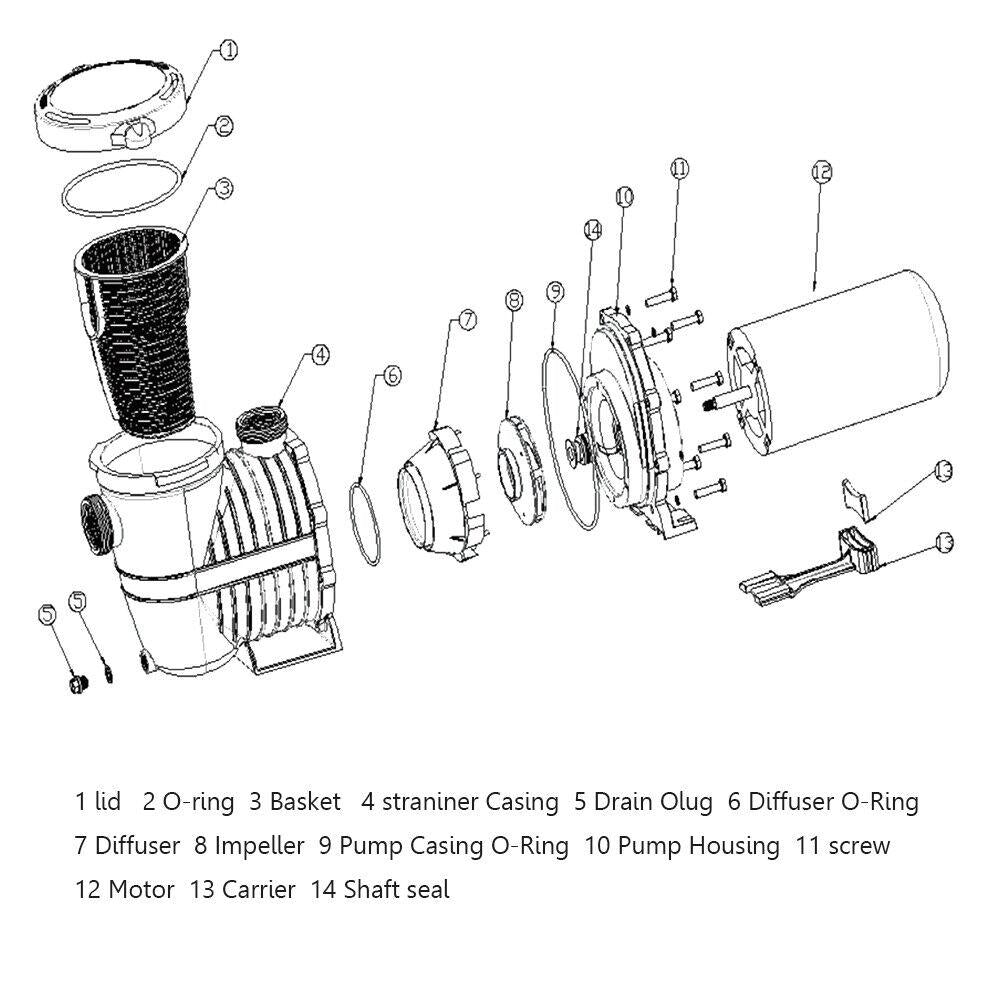 2-speed 1.5/2hp high-flo inground swimming pool pump strainer energy saving 230v
