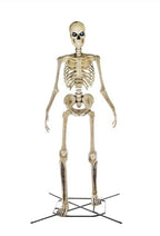 Home Accents Holiday 12 ft Giant-Sized Skeleton