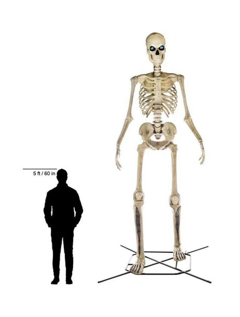 Home Accents Holiday 12 ft Giant-Sized Skeleton