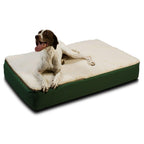 Snoozer Super Orthopedic LounPet Bed