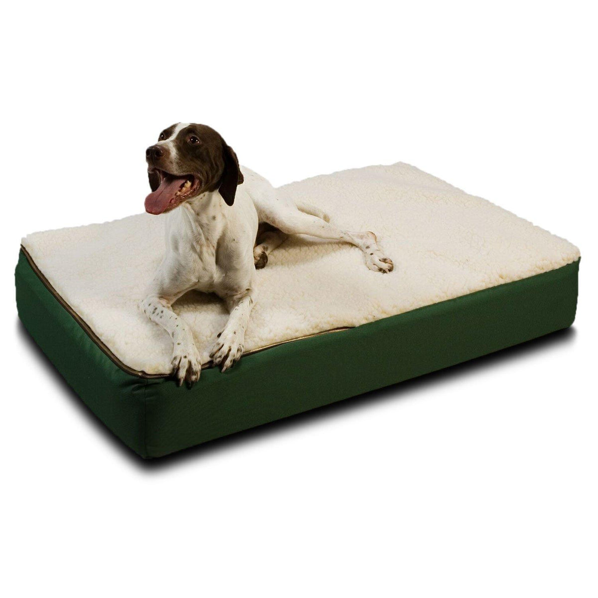 Snoozer Super Orthopedic LounPet Bed