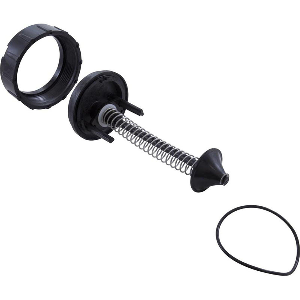 Jandy Bypass Assembly, Zodiac Jandy LRZE/LRZM/LXi, with O-Ring