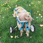 Pet Wheelchair Double Wheel Pet Assisted Walk Car Aluminium Alloy Disabled Dog Wheelchair XS Size Widen Pet Hind Leg Reha Assisted Walk Wheelchair