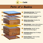 10-frames complete beehive kit, 100% beeswax coated bee hive includes frames and beeswax coated foundation sheet (2 layer)