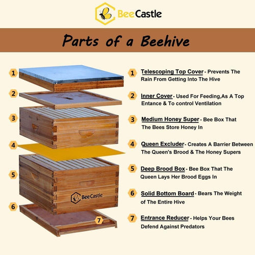 10-frames complete beehive kit, 100% beeswax coated bee hive includes frames and beeswax coated foundation sheet (2 layer)