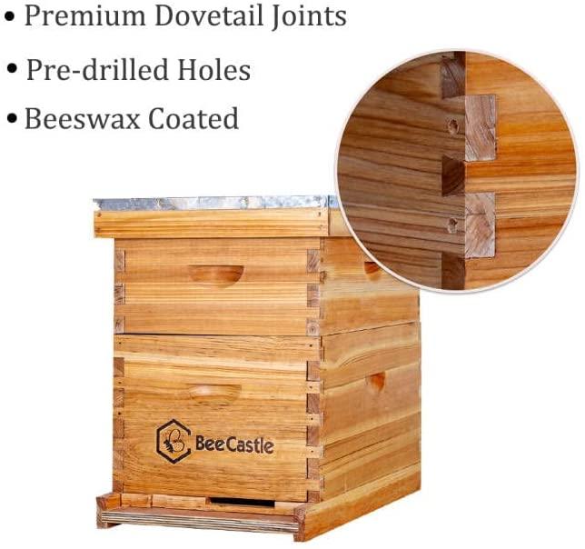 10-frames complete beehive kit, 100% beeswax coated bee hive includes frames and beeswax coated foundation sheet (2 layer)