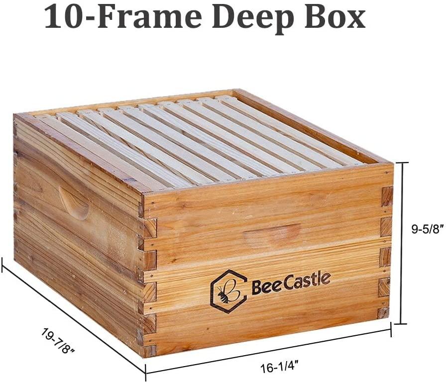 10-frames complete beehive kit, 100% beeswax coated bee hive includes frames and beeswax coated foundation sheet (2 layer)