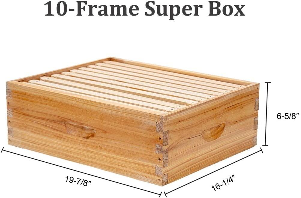 10-frames complete beehive kit, 100% beeswax coated bee hive includes frames and beeswax coated foundation sheet (2 layer)