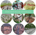 EECFSID 5M-30M 8/11Mm Main Line Potted Distribution Irrigation Drip System Indoor Greenhouse Garden Drop Watering Kit Irrigator 30M Kit