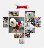 ZHIJIA Pet Disabled Wheelchair Pet Wheelchair Aluminum Alloy 2 Wheel Sports Car Suitable for Disabled Cats and Dogs, Red Light Weight