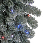 24 " Snowy Sheffield Spruce Artificial Christmas Wreath with Twinkly LED Lights