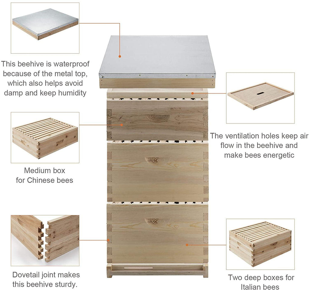 letra bee hive, 3 layer bees house beekeeping box with 10 medium &amp;20 deep honeycomb foundation frames, bee box for beekeeper starter, beekeeping supplies equipment, wood complete honey bee hives kit