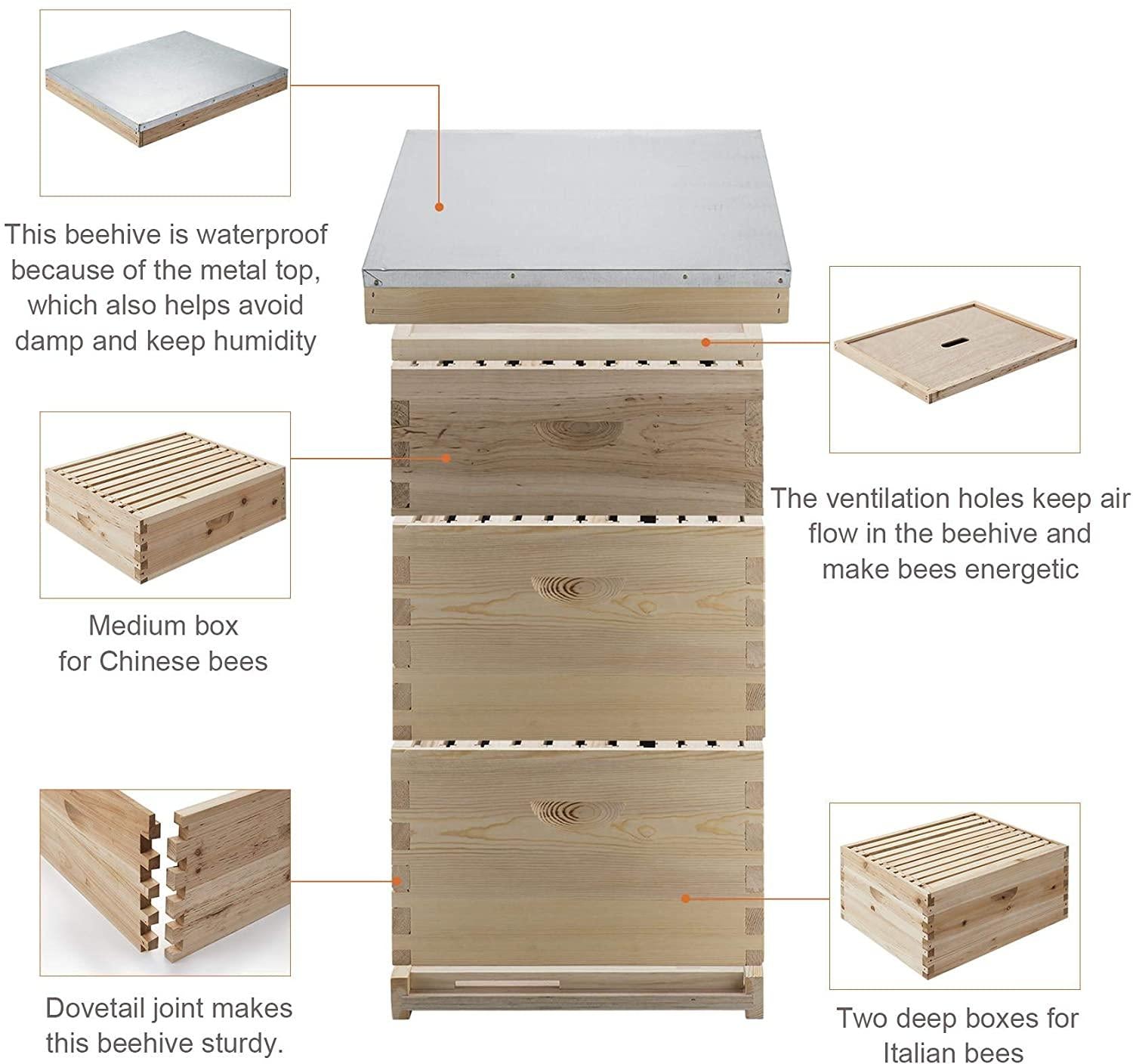 letra bee hive, 3 layer bees house beekeeping box with 10 medium &amp;20 deep honeycomb foundation frames, bee box for beekeeper starter, beekeeping supplies equipment, wood complete honey bee hives kit