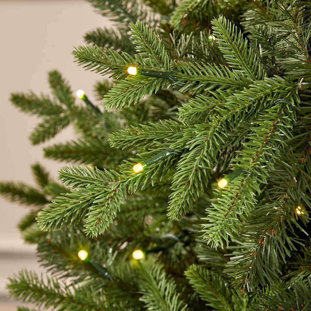7.5 ft Twinkly Swiss Mountain Fir Christmas Tree