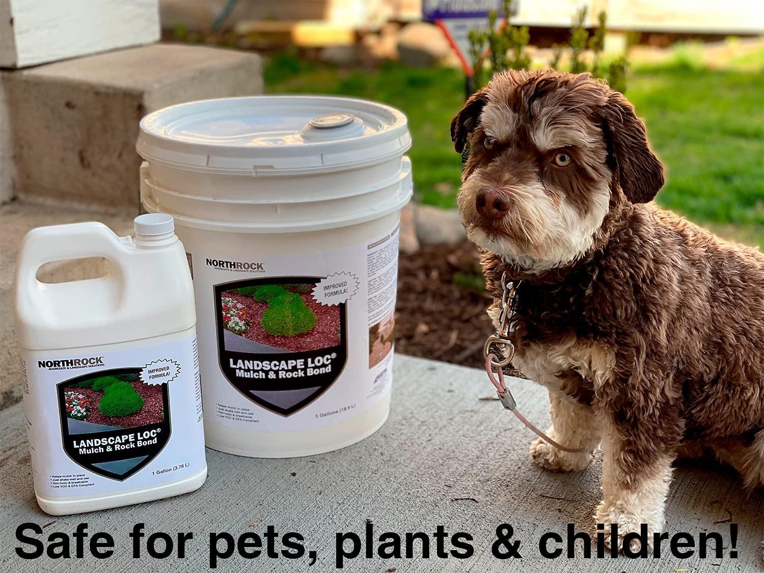 landscape loc mulch &amp; rock bond - 5 gallon
