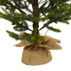 Nearly Natural 6' Fraser Fir Artificial Christmas Tree in Burlap Base, Prelit with LED Lights, Green