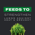 scotts turf builder southern triple action - combination weed killer, fire ant preventer, and fertilizer, 26.64 lbs., 8,000 sq. ft.