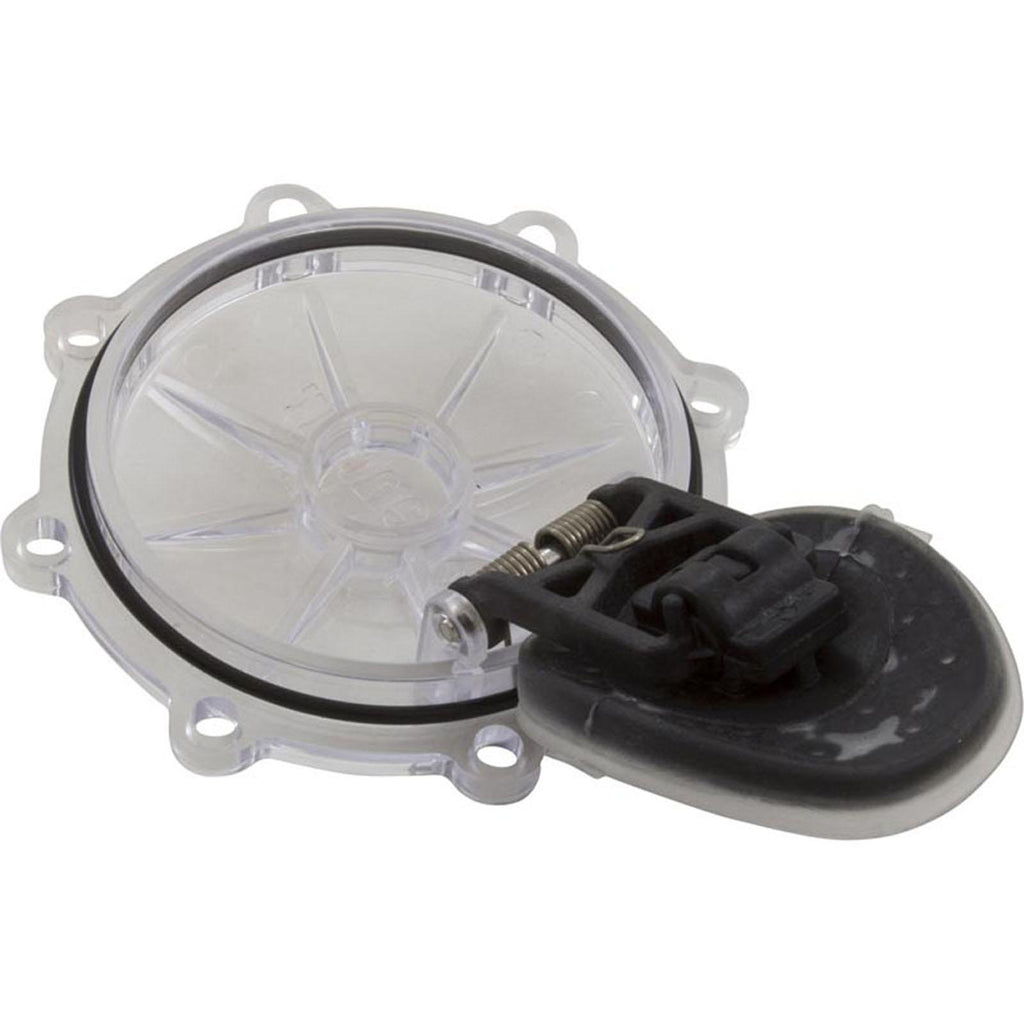 PENTAIR POOL PRODUCTS Rebuild Kit, Check Valve, Pentair CPVC 2"