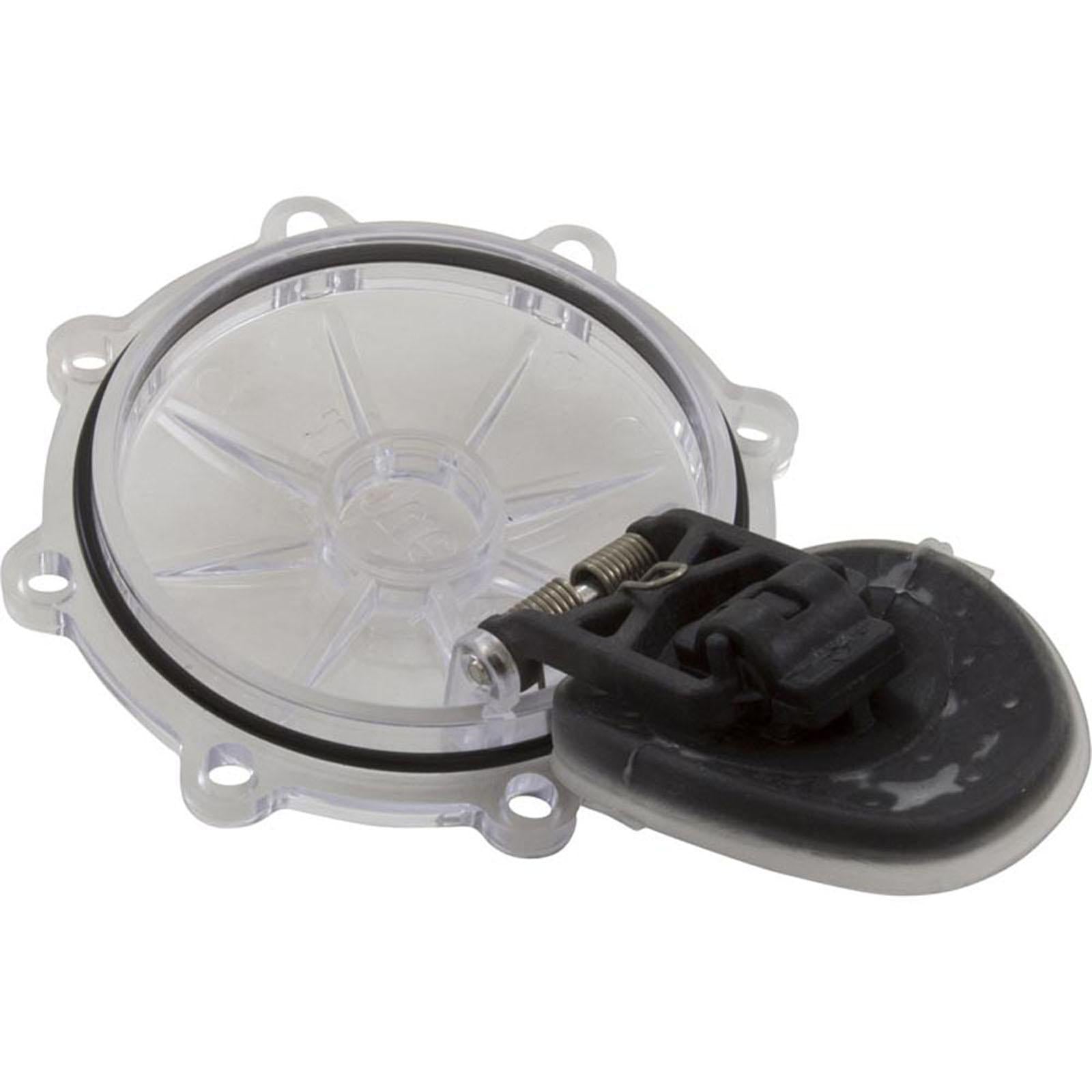 PENTAIR POOL PRODUCTS Rebuild Kit, Check Valve, Pentair CPVC 2"