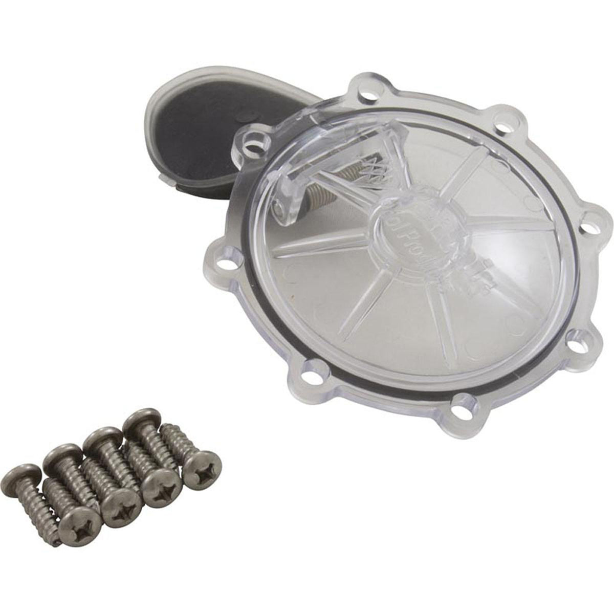 PENTAIR POOL PRODUCTS Rebuild Kit, Check Valve, Pentair CPVC 2"