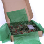 Van Zyverden Fir Decorated Wreaths 24" (Green)
